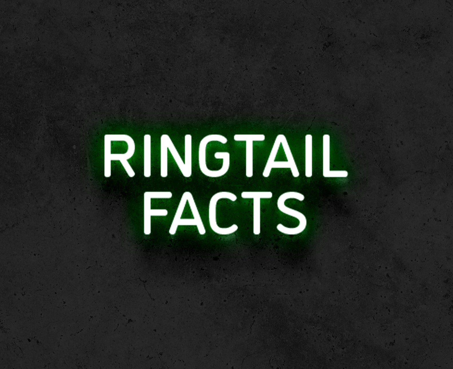 2223WebsiteButtons-RingtailFacts.jpg