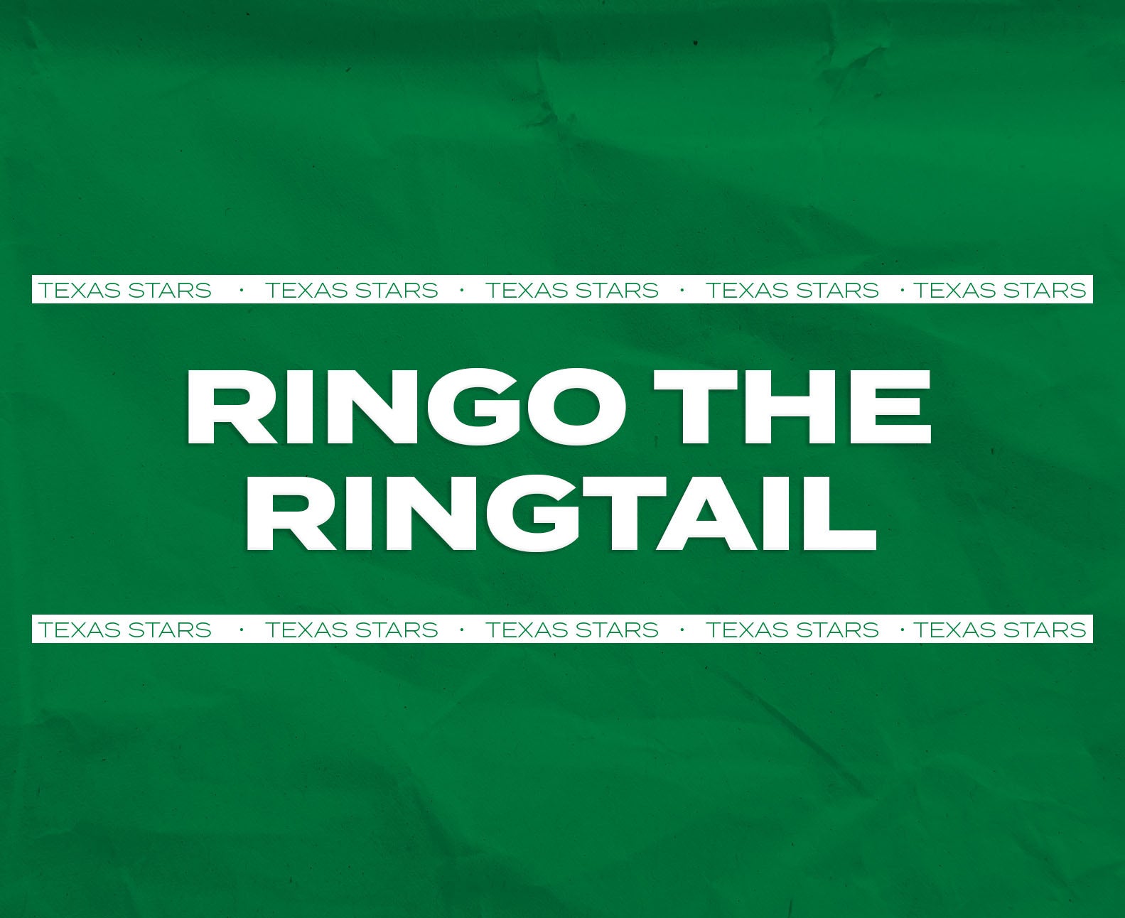 Team | Texas Stars | AHL Affiliate to Dallas Stars