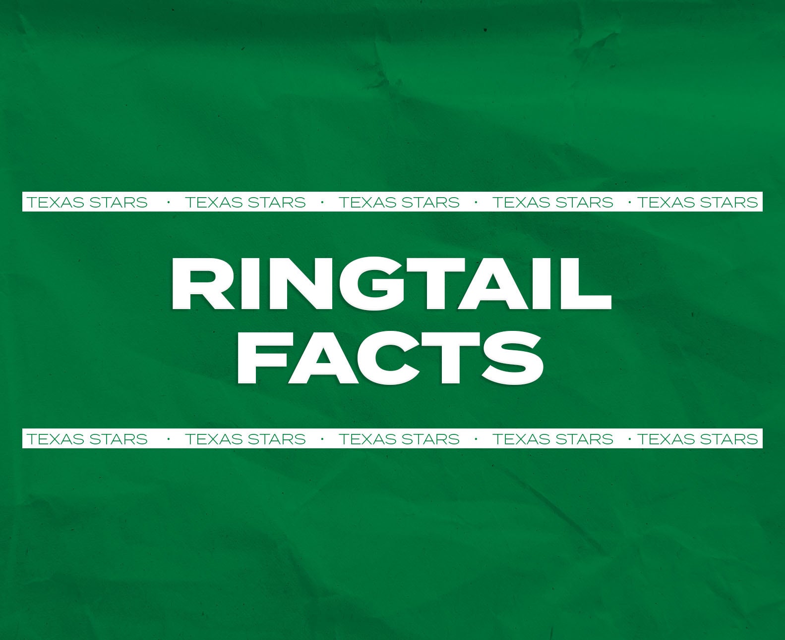 2425WebsiteButtons-RingtailFacts.jpg