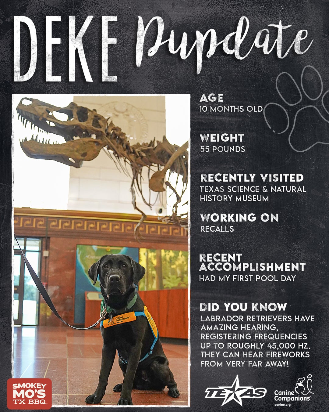2526-Social-PupDate-10Months 2.jpg