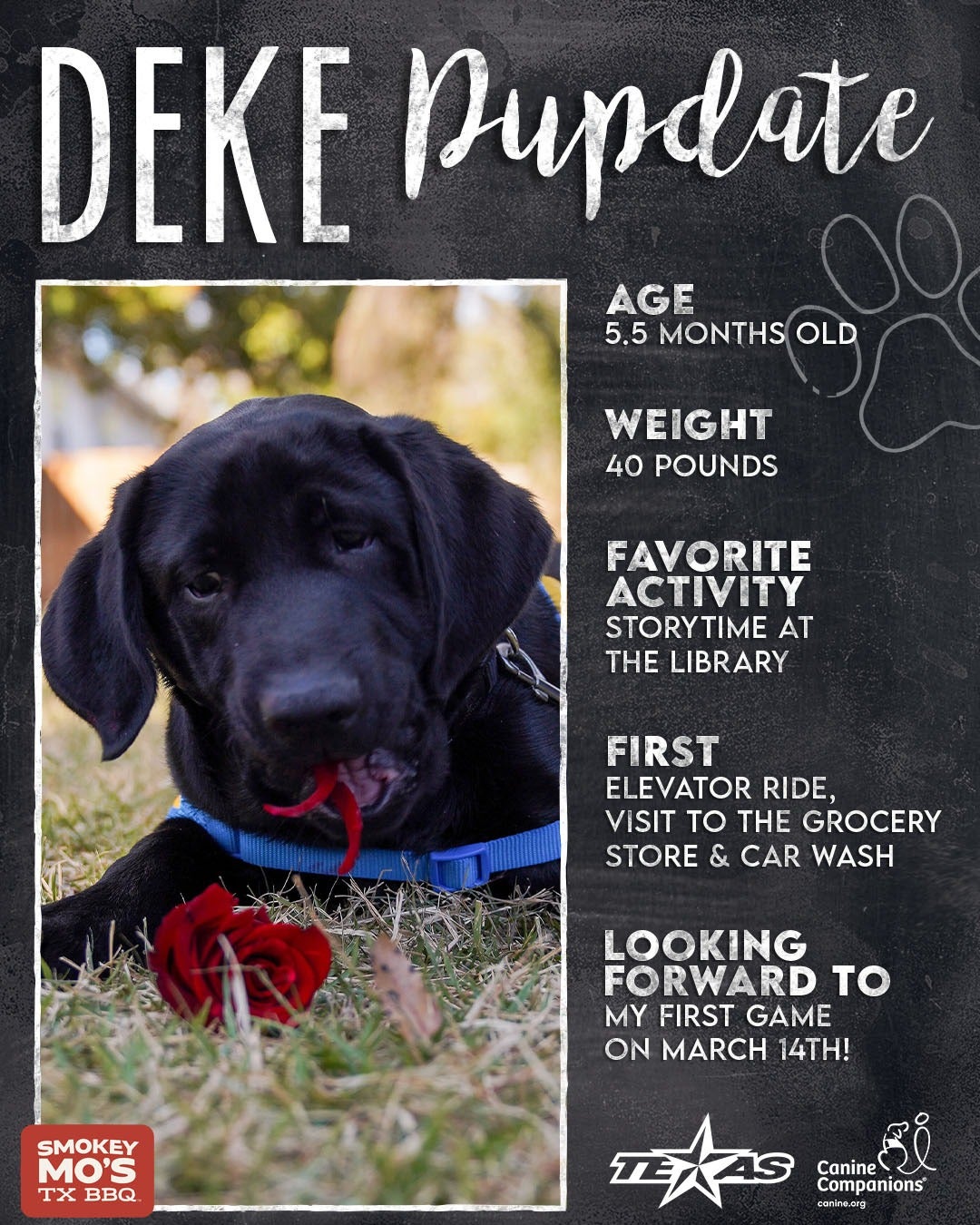 2526-Social-PupDate-5.5Months 1.jpg