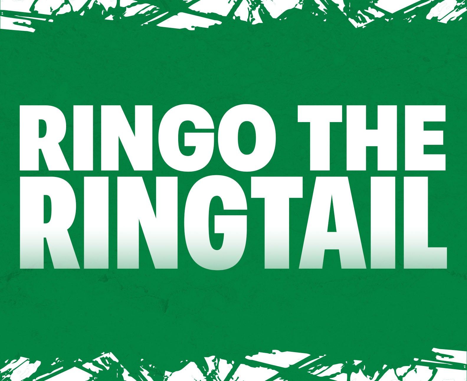 2627-Website Buttons-Fan Zone Buttons-Ringo The Ringtail.jpg