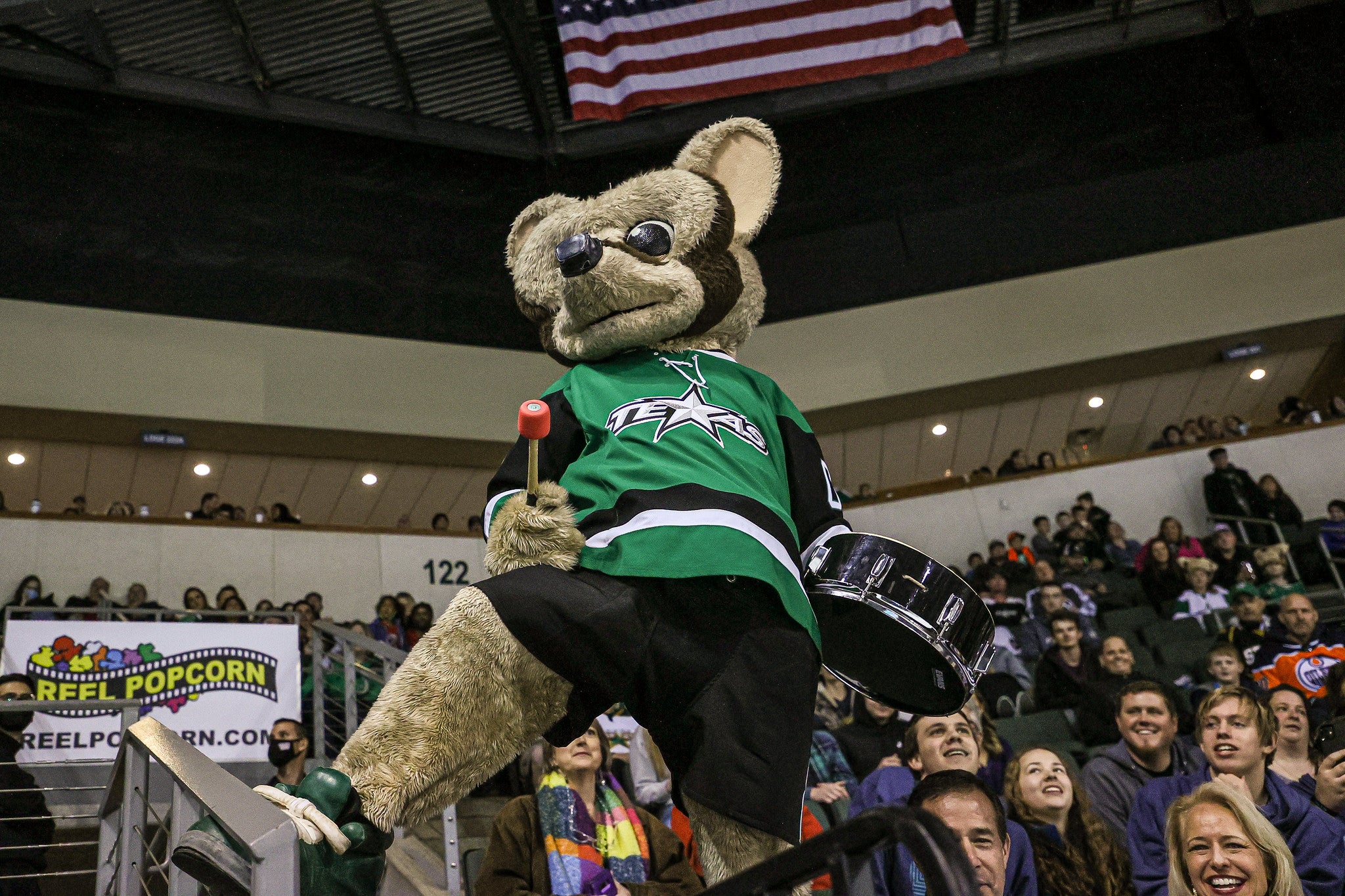 In Other News: Catching up with Ringo, the Texas Stars' mascot