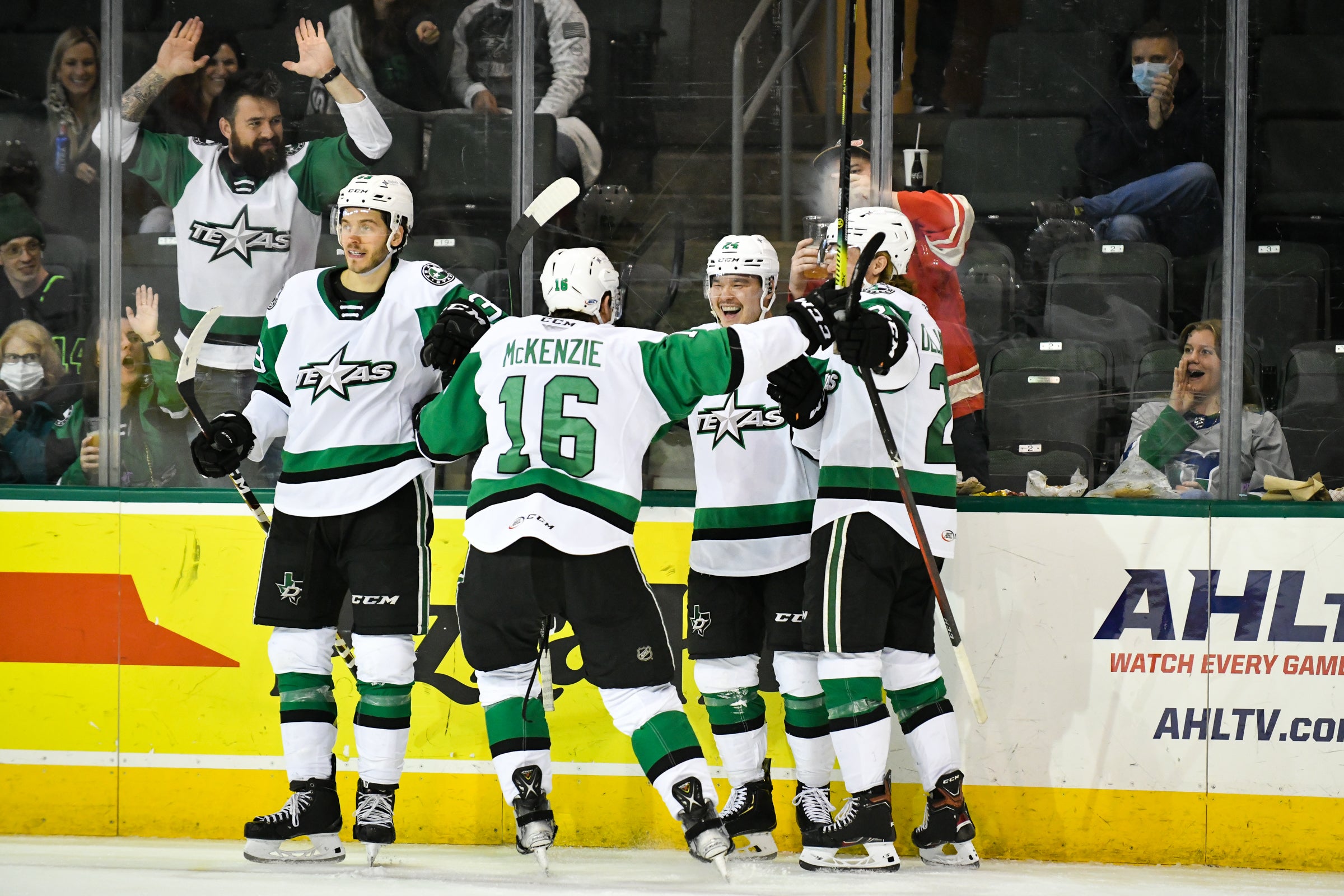 American Hockey League Game - Texas Stars