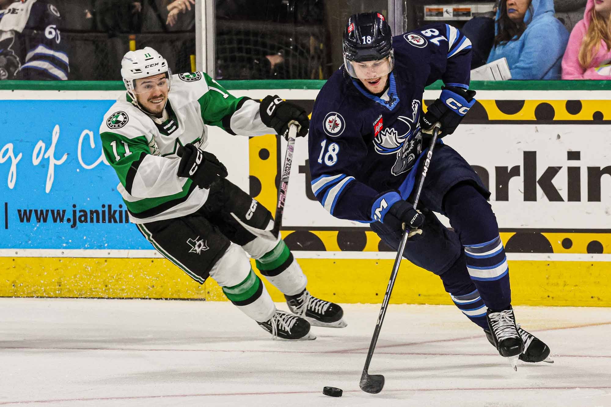 American Hockey League Game - Texas Stars