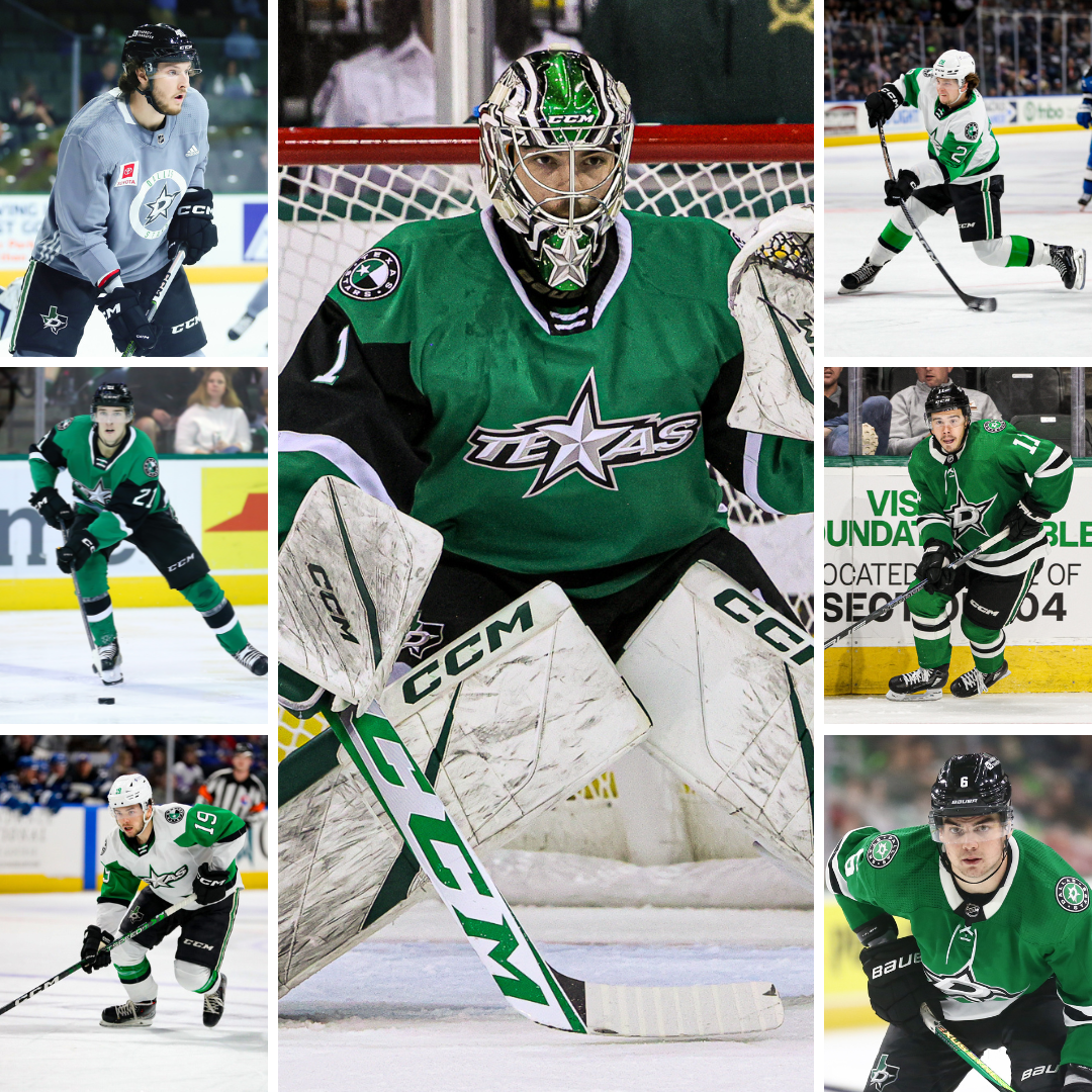 Dallas Stars Reassign Khudobin to Texas, Gardner to the Taxi Squad and  Barteaux to Idaho, Texas Stars