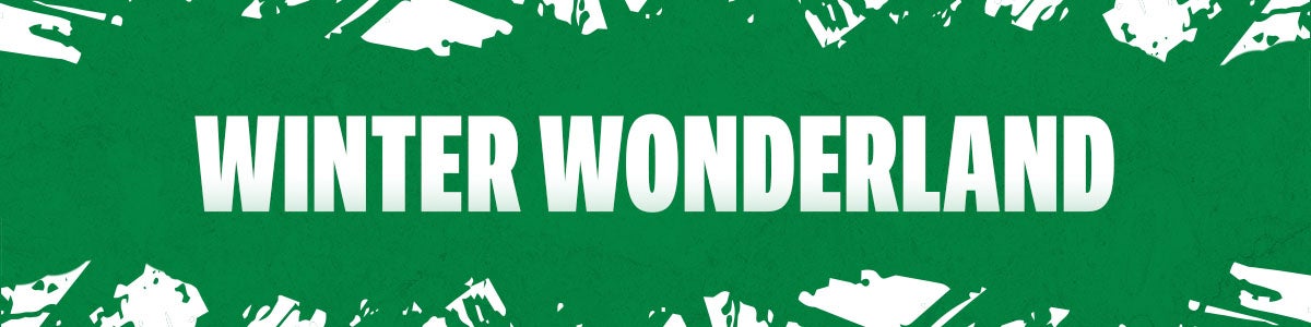 WinterWonderlandBannerOne Row.jpg